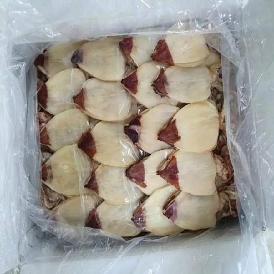 햇 반건조 한치 5미 100g 내외 베트남산 이미지