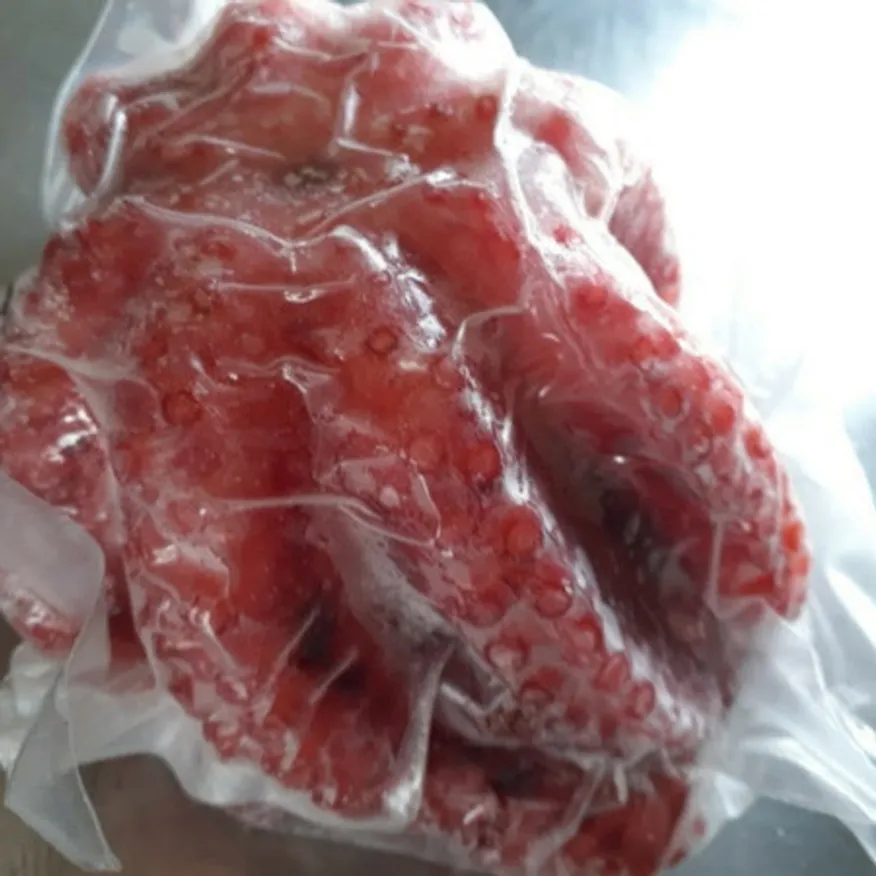 자숙문어 900g급 이미지