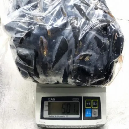 활 홍합 5kg 410미 내외 국내산 이미지