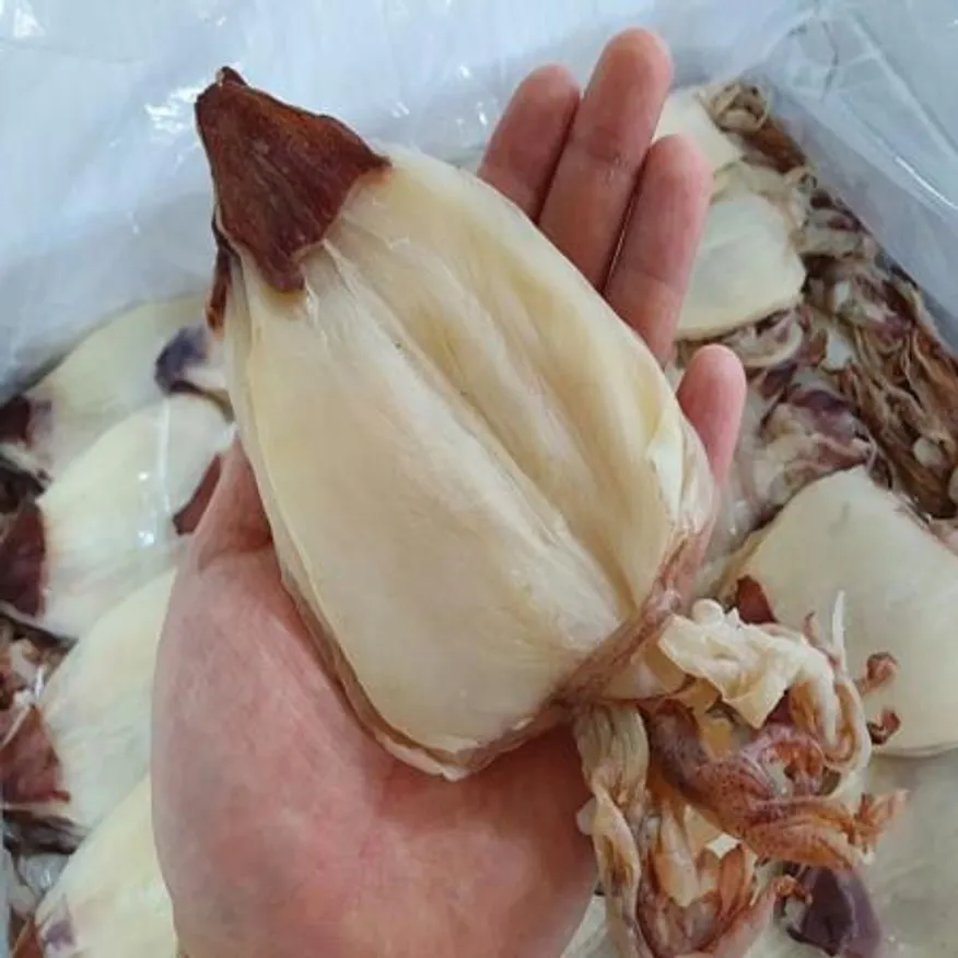 햇 반건조 한치 5미 100g 내외 베트남산 이미지