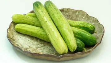 백오이 국내산 3kg