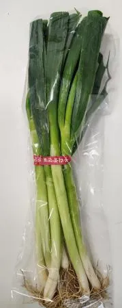 대파(흙대파, 국내산) 1단, 소포장상품