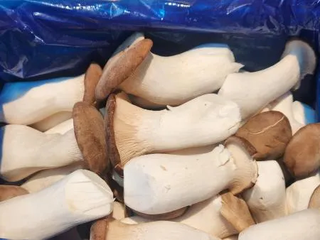 새송이버섯(뿌리없음, 2kg) 