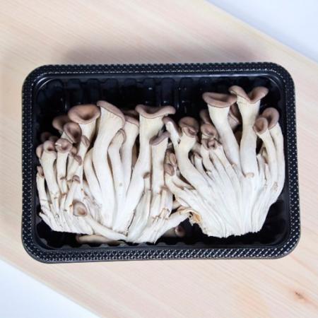 ❤️ 느타리버섯(특품, 200g)팩 국내산