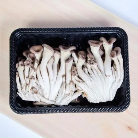 ❤️ 느타리버섯(특품, 애느타리, 200g)팩 국내산