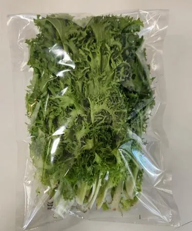 치커리(특품, 1kg)1팩, 소분상품 국내산