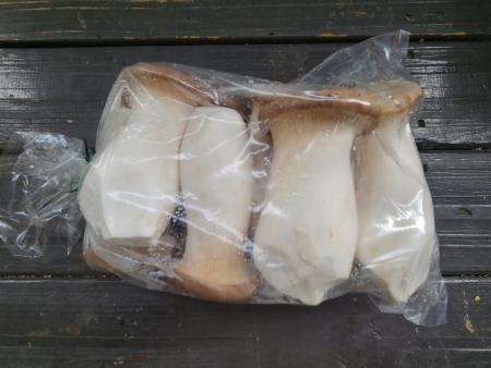 새송이버섯(특품, 뿌리없음, 500g)팩 국내산