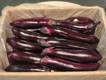 가지(1kg) 국내산