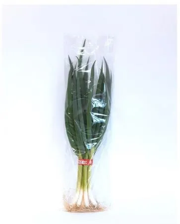 ❤️ 대파(흙대파, 국내산) 1kg내외 소포장상품