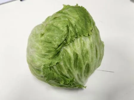 양상추/중국산 (겉잎제거 개당 450~550g내외) 1통  