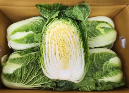 ❤️오늘특가❤️ / 배추(특품, 3입~4입, 9kg~10kg 내외) 박스 출고 국내산
