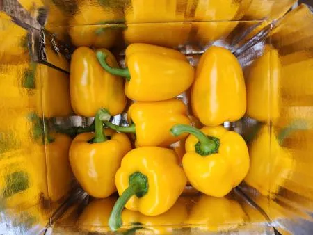 ⭐특가⭐ 파프리카 노랑 (1kg)팩 국내산