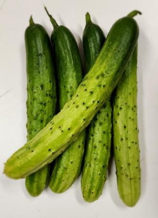 백오이, 다다기오이(특품, 5개) 국내산