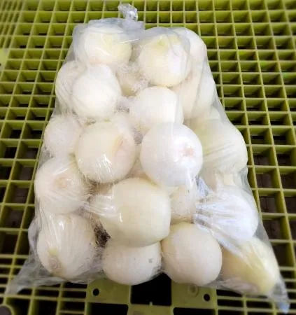 ⭐ 깐양파(개당 중량 200g 내외, 10kg) 봉지포장 국내산