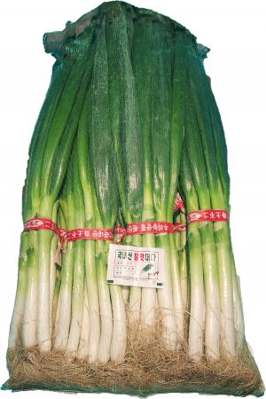 대파(흙대파) 10단, 국내산, 망 or 봉지 출고