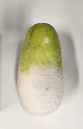 ⭐특가/ 무우(특품) / KG단위출고 / 국내산 ⭐