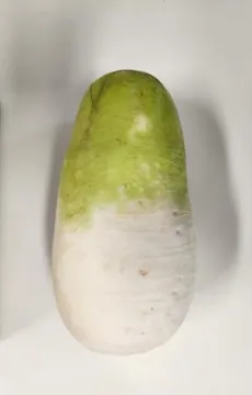 무우(특품) / KG단위출고 / 국내산