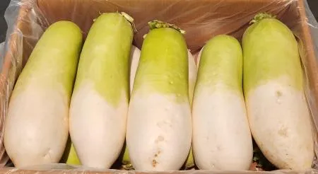 무우, 무 (햇무, 9~14수, 16kg~19kg내외)박스