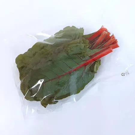 적근대(500g) 국내산