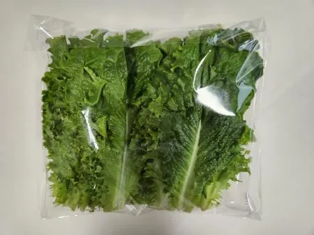 청상추(1kg, 특품) 국내산