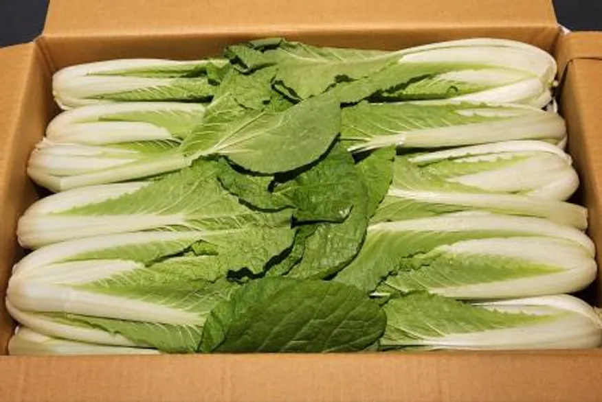 얼갈이, 얼갈이배추(특품, 4kg)박스 국내산 이미지