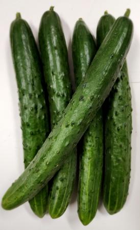 청오이(상품, 5개) 국내산