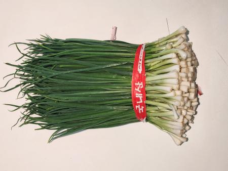 ⭐ 깐쪽파(1kg내외)단 국내산