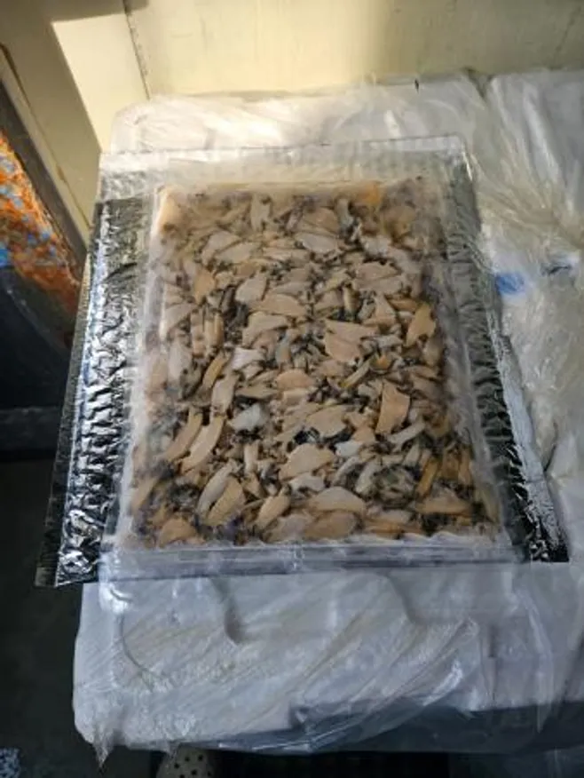 완도 전복 슬라이스 1kg 이미지