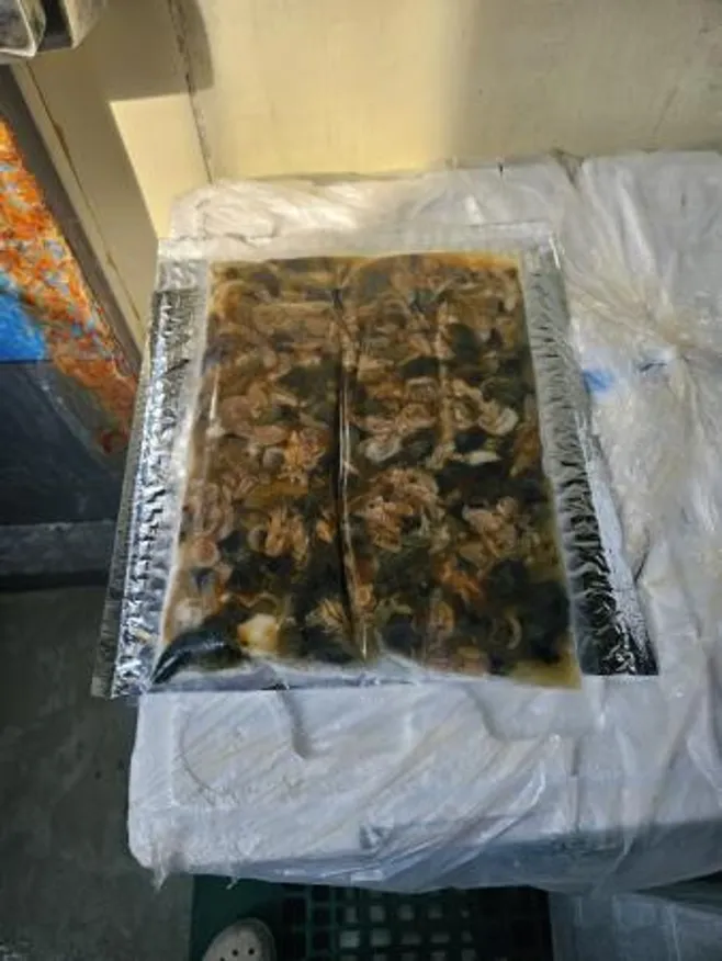 완도 전복 내장1kg 이미지