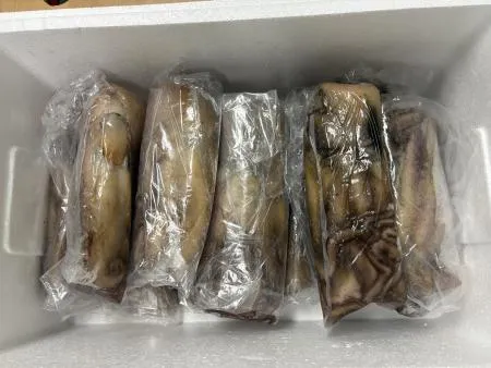 냉동문어 10kg 이미지