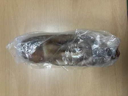 냉동문어 10kg