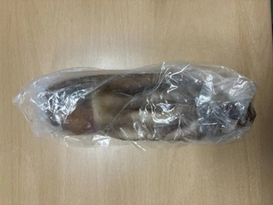 냉동문어 10kg 이미지
