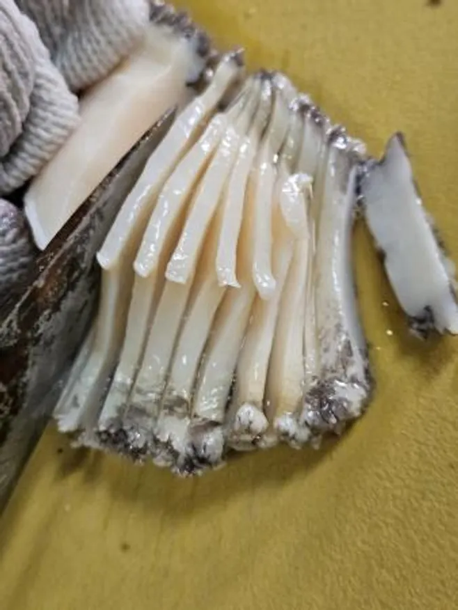 완도 전복 슬라이스 1kg 이미지