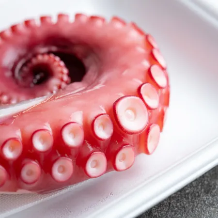 자숙 문어 다리 냉동 삶은 필리핀 문어 10kg 벌크 업소용 문어족 뽈뽀 1/200g 이미지