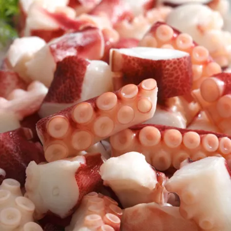 타코야끼문어 냉동 자숙 삶은 필리핀 절단 문어 2~3cm 10kg 이미지