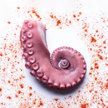 자숙 문어 다리 냉동 삶은 필리핀 문어 10kg 벌크 업소용 문어족 뽈뽀 300up 이미지