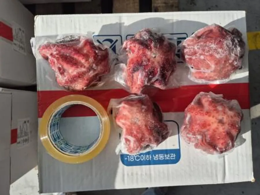 자숙 냉동 삶은 데친 필리핀 문어 뽈뽀 10kg 30~40미 일반제품 이미지