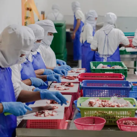 자숙 냉동 삶은 데친 필리핀 문어 뽈뽀 10kg 5미 업소용 이미지