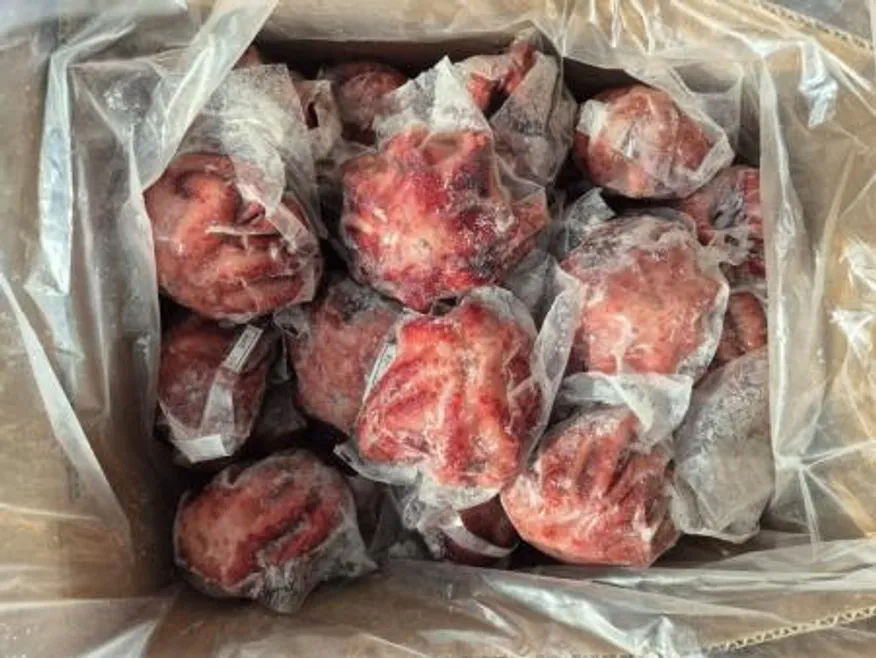 자숙 냉동 삶은 데친 필리핀 문어 뽈뽀 10kg 30~40미 일반제품 이미지