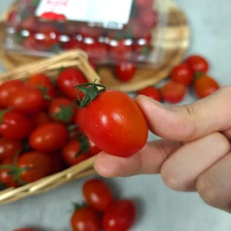 [무료배송]스테비아 방울 토마토 500g 2팩 1kg 이미지