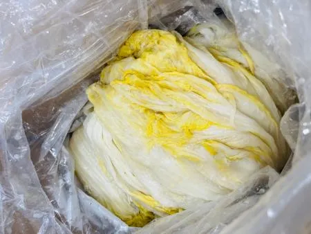 시원 고명없는 백김치 10KG 이미지