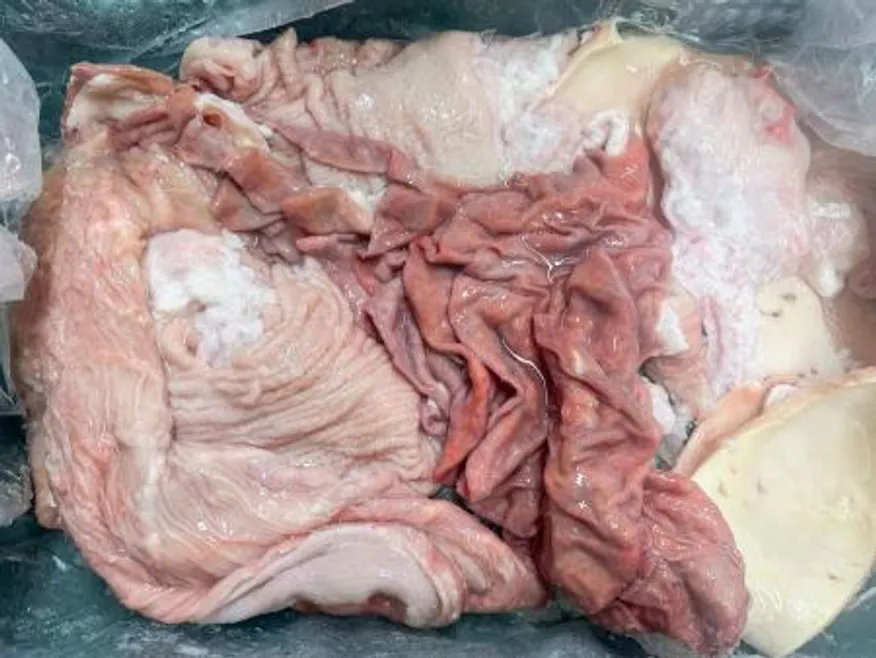 한우 국거리 내장 10kg 이미지