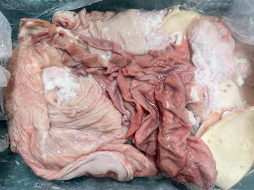 한우 국거리 내장 10kg 이미지