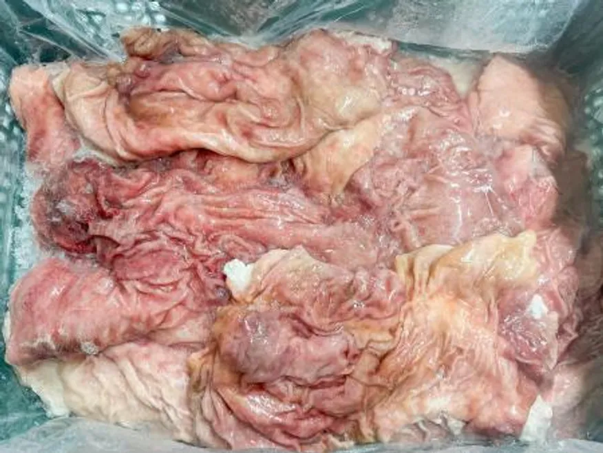 한우 원물 급냉 막창 5kg 이미지