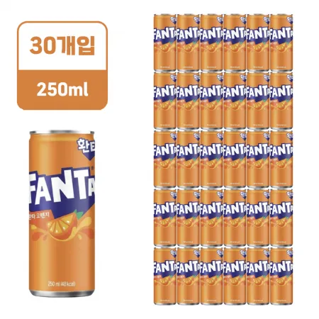 환타 오렌지 [캔,250ml*30EA/BOX]