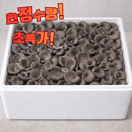 ★ 식자재 특가상품 ★ 꽃 느타리 버섯 상 2kg 국내산 1박스