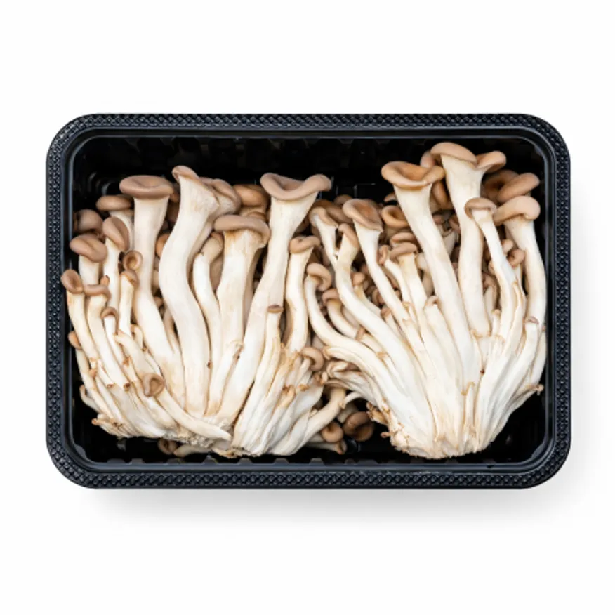 ★식자재전용★ / 느타리버섯 / 특·맛타리 / 국내산 / 2kg / 1박스 이미지