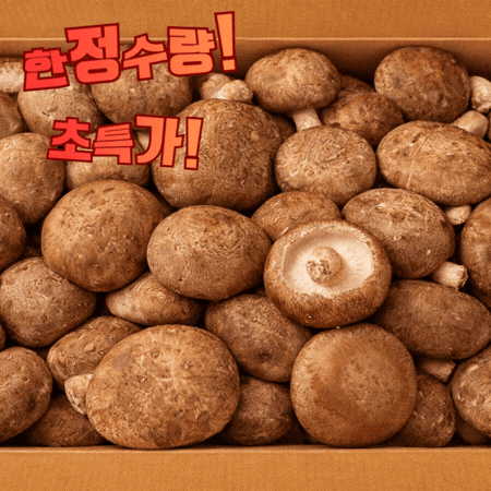 ★ 식자재 특가상품 ★ 표고버섯 상 1kg 국내산 1봉