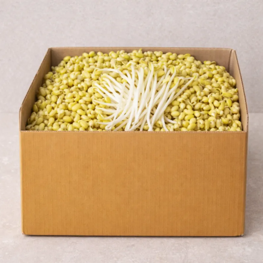 ★ 식자재 특가상품 ★ 일자콩나물 3.5kg 국내산 1박스 이미지