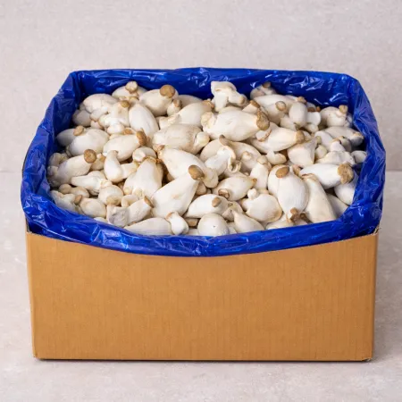 ★ 식자재 특가상품 ★ 콩알새송이버섯 상 2kg 국내산 1봉